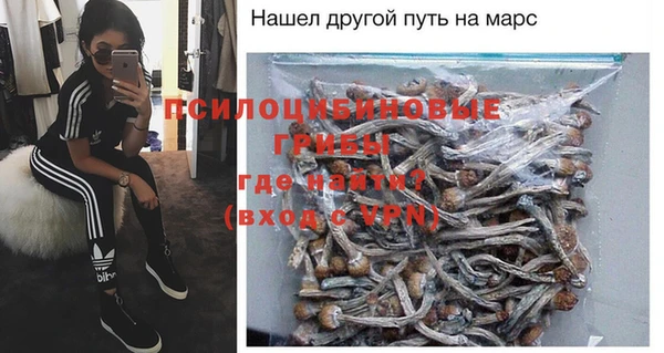 таблы Новозыбков