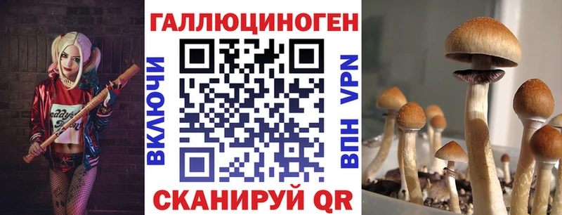 Псилоцибиновые грибы прущие грибы  Починок 